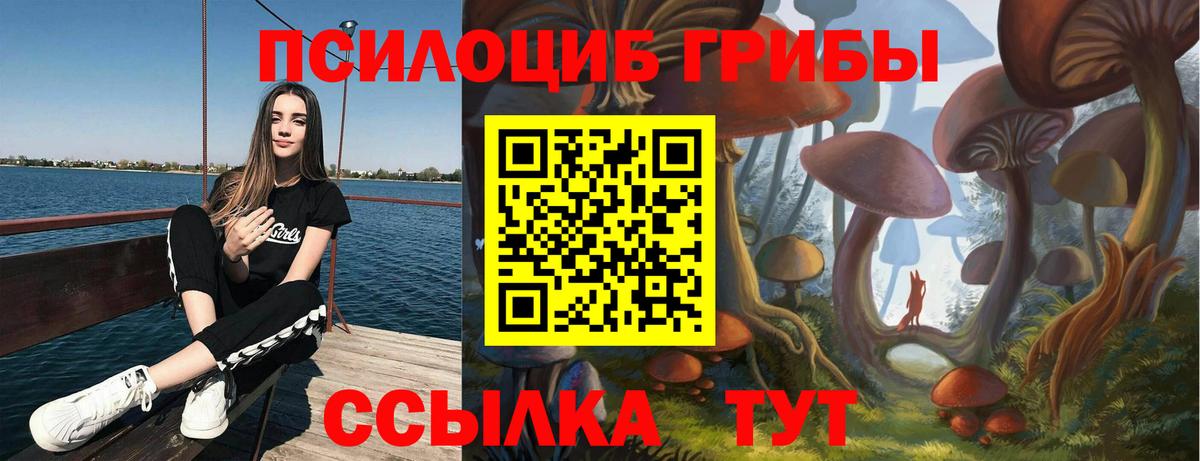 Галлюциногенные грибы GOLDEN TEACHER  Вход с VPN  купить наркоту  Реж 